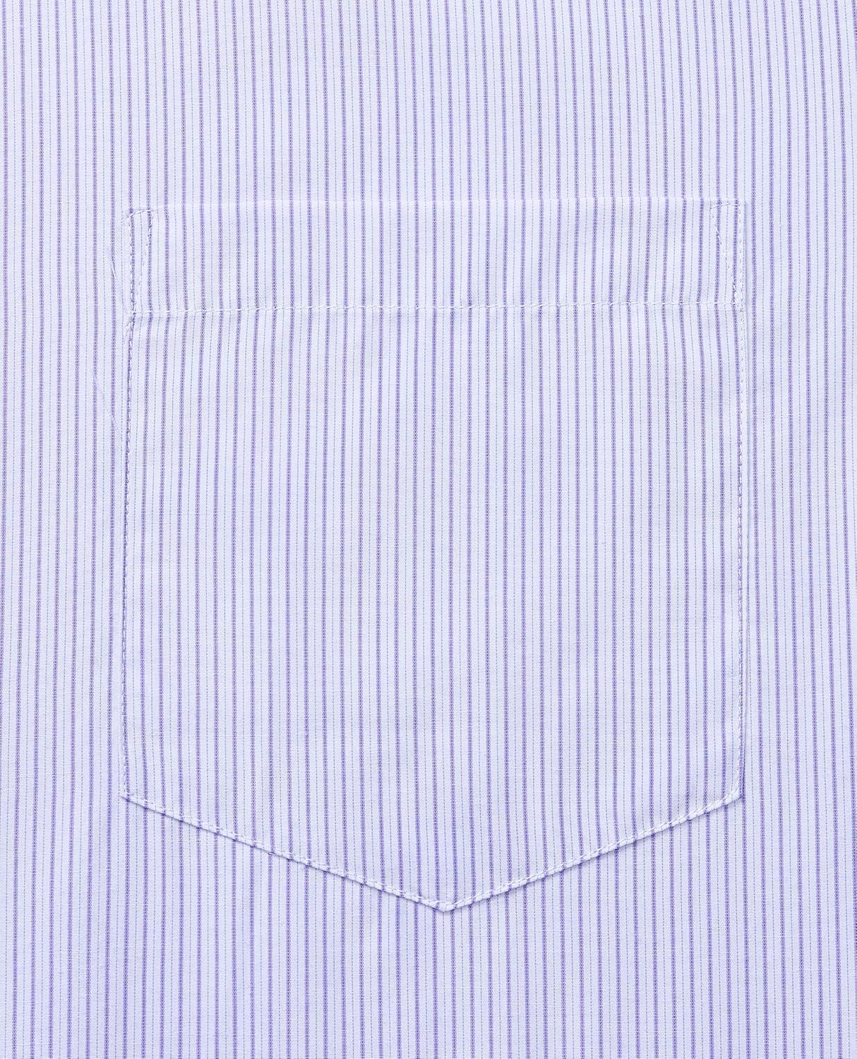 imageAlimens amp Gentle Mens Striped Dress Shirt Button Down Regular Fit Shirts Casual Business Transitional WeatherLight Blue Stripe