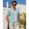 Alimens & Gentle Mens Knit Shirt Short Sleeve Button Down Shirt Textured Casual Summer Beach Polo Shirts(Light Green)
