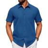 Peacock Blue
