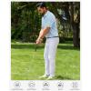 Alimens & Gentle Mens Polo Shirts Short Sleeve Printed Golf Shirt Moisture Wicking Dry Fit Collared Business Casual Tennis(Light Blue Dinosaur)