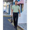 Alimens & Gentle Mens Dress Shirts Short Sleeve Wrinkle Free Stretch Regular Fit Formal Casual Button Down Shirt with Pocket(Green)