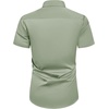 Mens Short Sleeve Dress Shirt Wrinkle Free Summer Button Down Shirts(Sage Green)