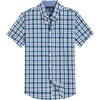 Black Green Check