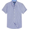 Blue Gingham