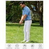 Mens Polo Shirts Dry Fit Breathable Printed Golf Shirt Summer(Blue Dinosaur)